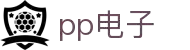 PP电子-PP电子模拟器「试玩游戏」官方平台网站